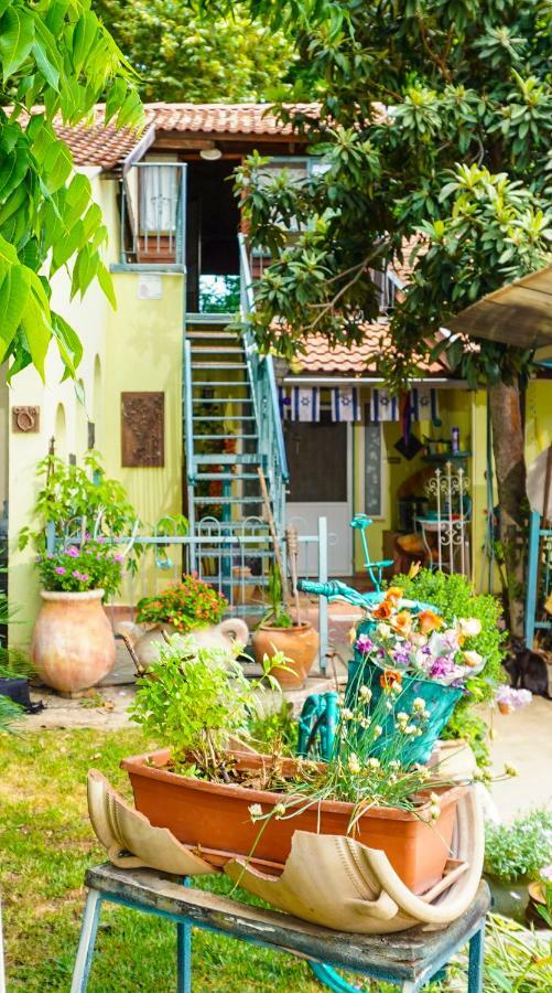 Brush And Wind Villa Hagoshrim Luaran gambar