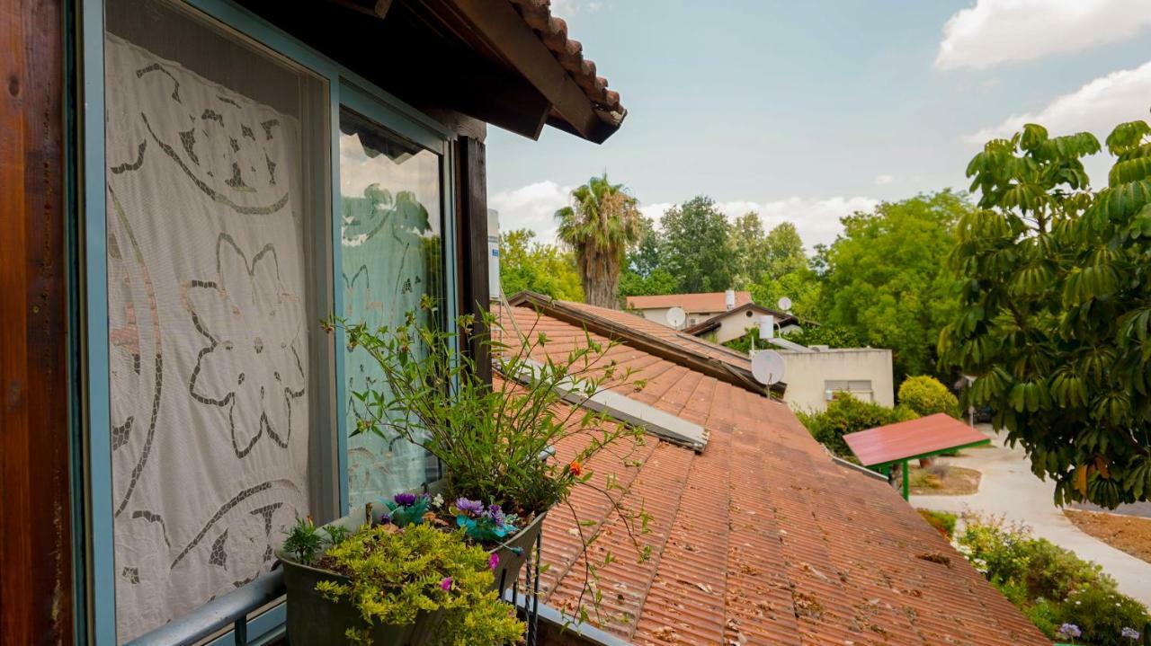 Brush And Wind Villa Hagoshrim Luaran gambar
