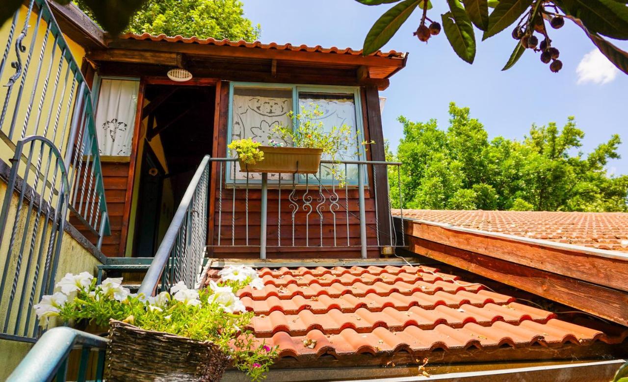 Brush And Wind Villa Hagoshrim Luaran gambar